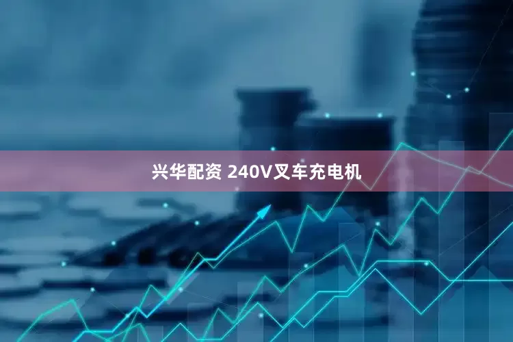 兴华配资 240V叉车充电机